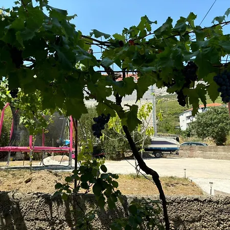 M&m Pelivan Apartman *
