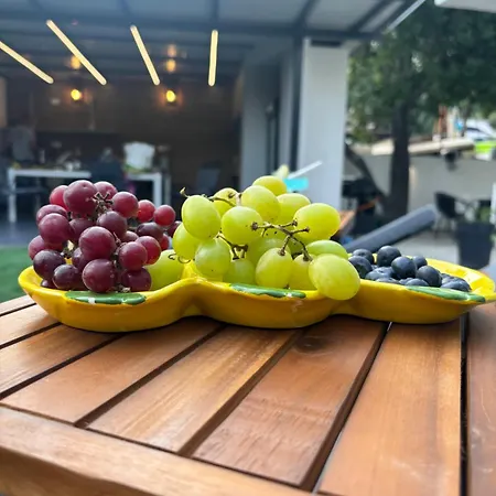 M&m Pelivan Apartment *